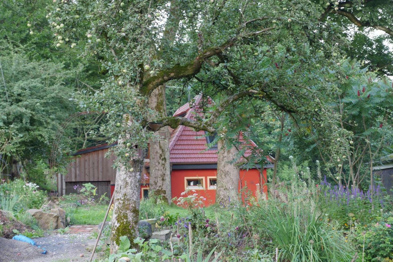 Kleine Villa Im Wilden Garten Gummersbach Exterior photo